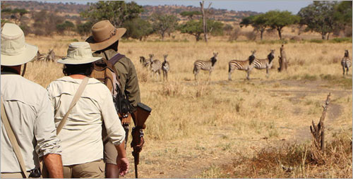 Travelling with children in South Africa